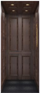 pneumatic elevator cost